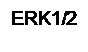 : ERK1/2